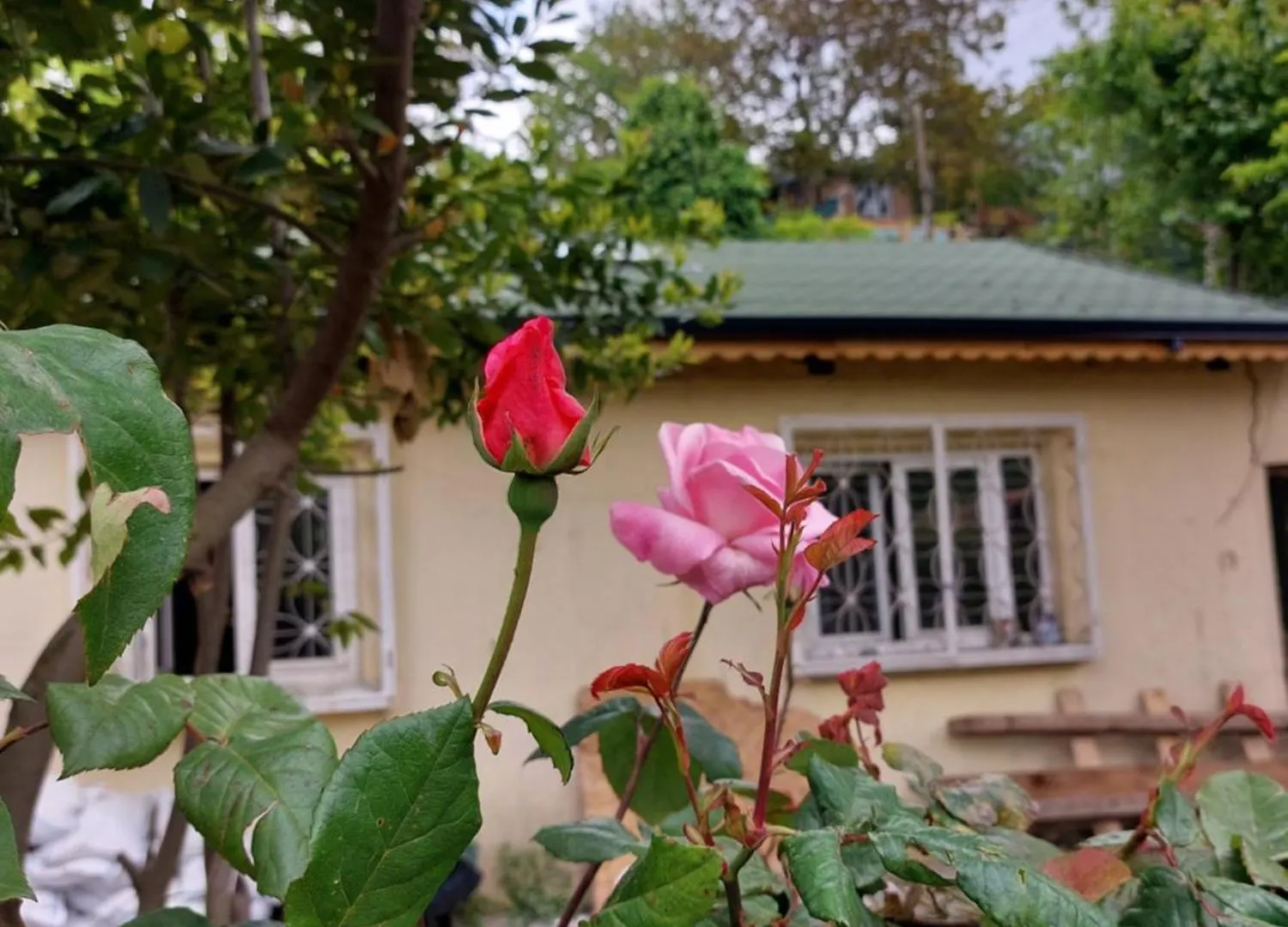 דירה איסטמבול Tarabya Family Suit טורקיה
